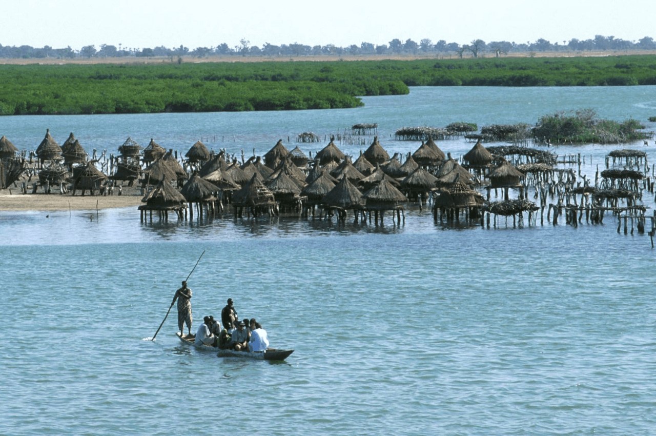 Excursion dans le Delta du Saloum & Île aux Coquillages