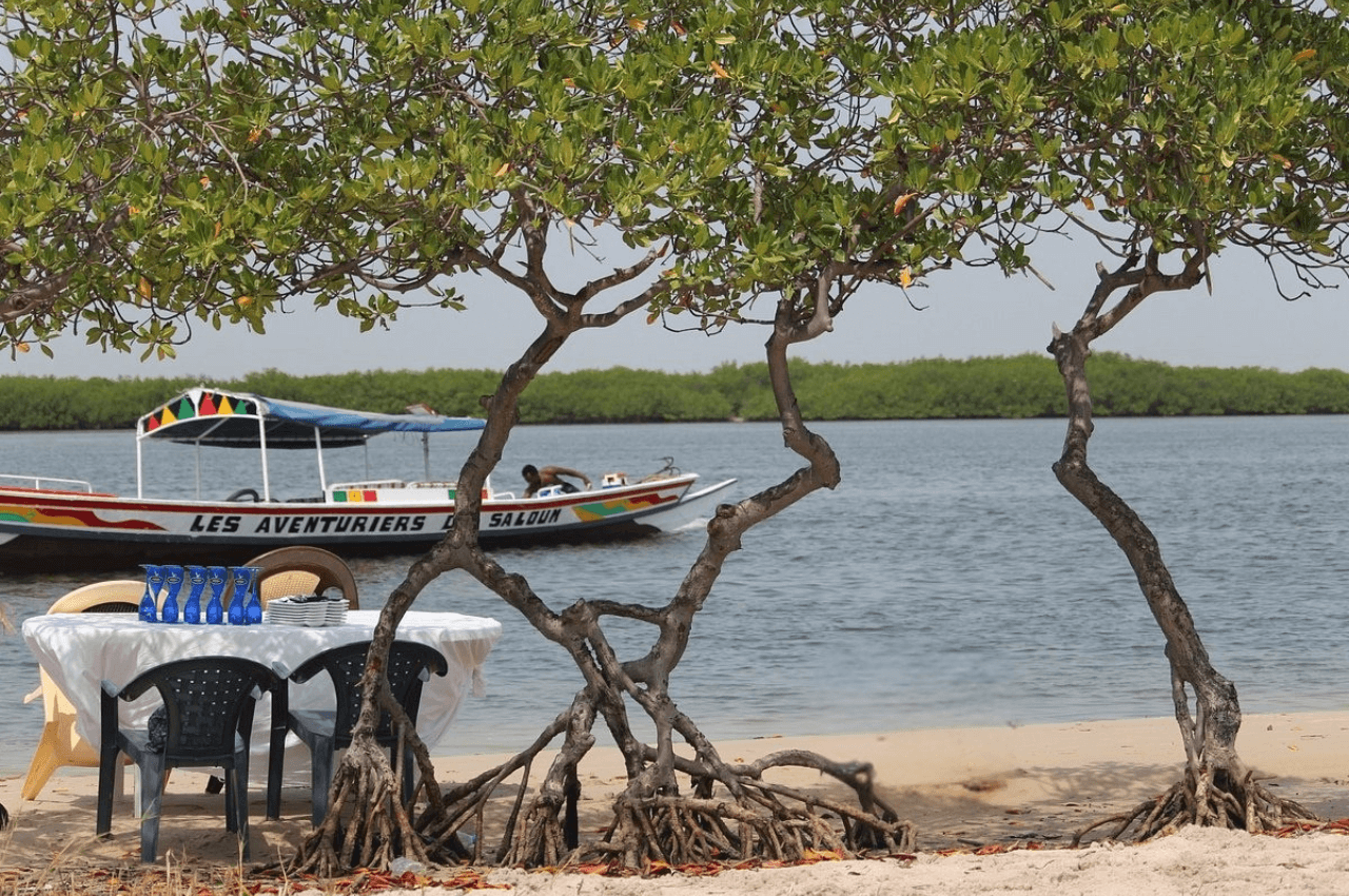 Journée Pique-Nique Inoubliable au Cœur des Îles du Saloum